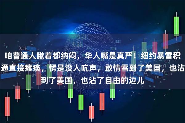 咱普通人瞅着都纳闷，华人嘴是真严！纽约暴雪积雪没人清，交通直接瘫痪，愣是没人吭声，敢情雪到了美国，也沾了自由的边儿