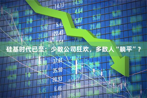 硅基时代已至：少数公司狂欢，多数人“躺平”？